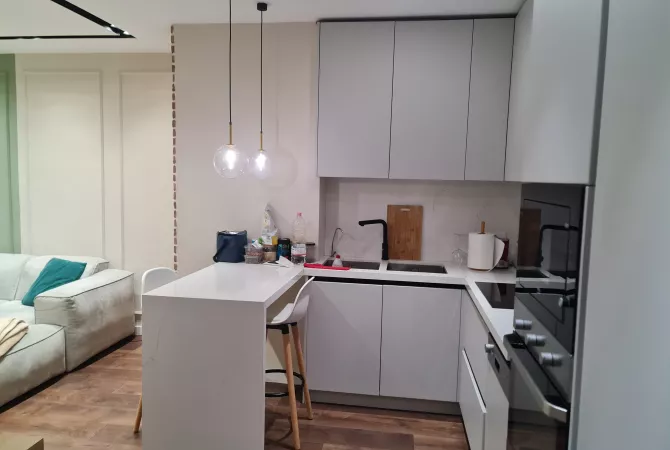 House for Rent 1+1 in Tirana - 50,000 Leke