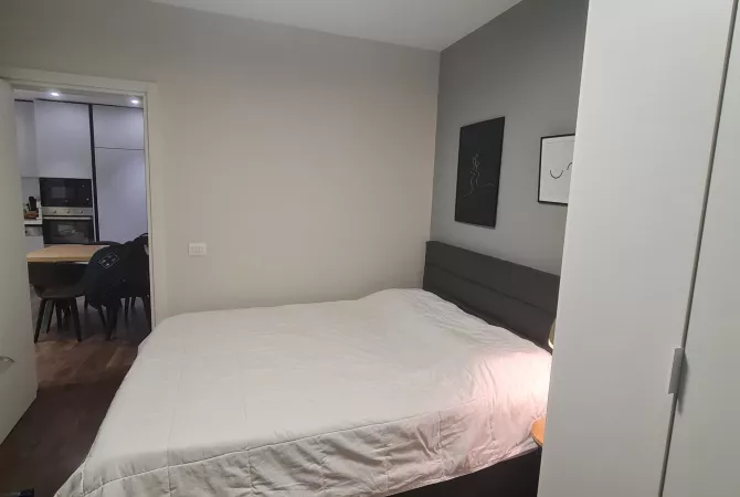 Apartment for rent in Tirana 1+1, Furnished