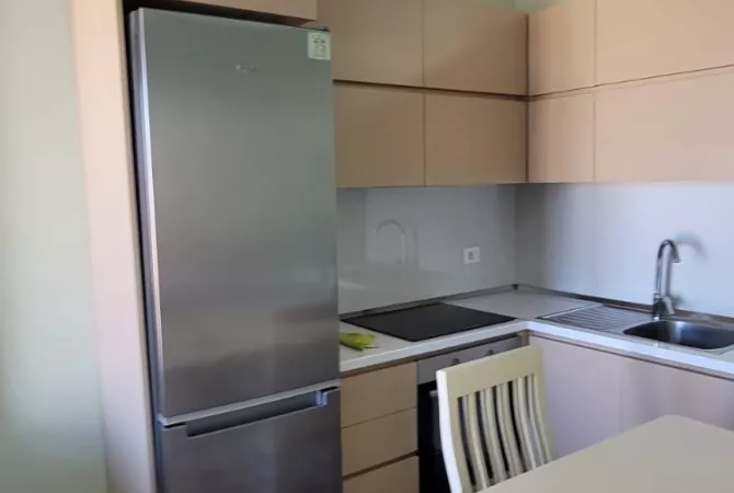 Shtepi me qera Apartament ne Tirane, 1+1, Mobilimi E mobiluar, Pagesa 550  Euro.