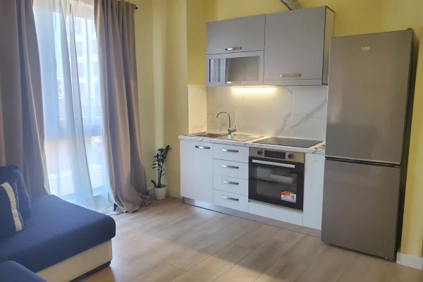 Shtepi me qera Apartament ne Tirane, Garsoniere, Mobilimi E mobiluar, Pagesa 55,000  Leke.