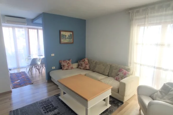 Shtepi me qera 1+1 ne Tirane - 55,000 Leke