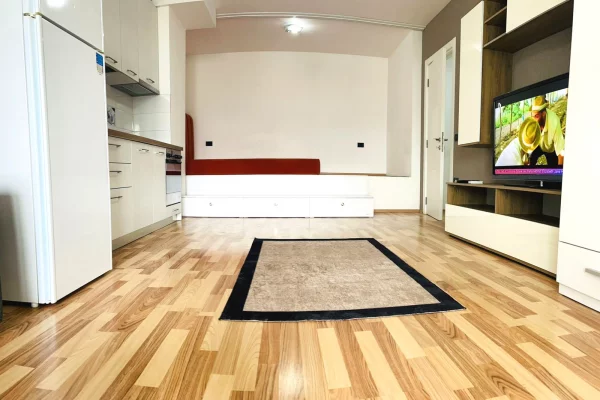 Shtepi ne shitje Apartament ne Tirane, Garsoniere, Mobilimi E mobiluar, Pagesa 65,000,000  Leke.