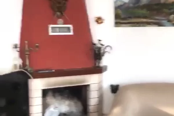 Shtepi me qera 1+1 ne Tirane - 50,000 Leke