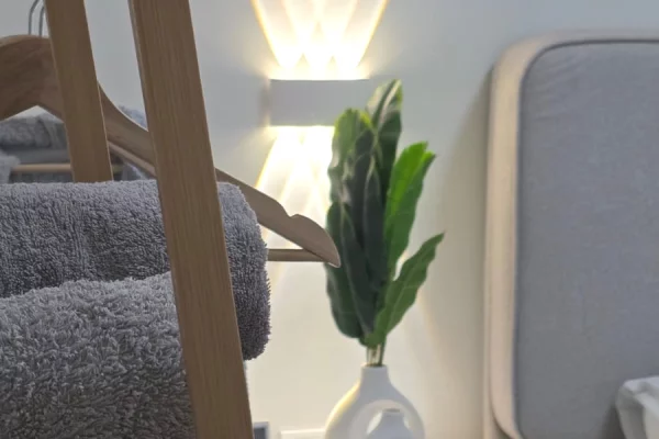 Shtepi me qera Apartament ne Tirane, 2+1, Mobilimi E mobiluar, Pagesa 900  Euro.