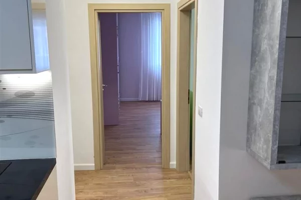 Shtepi me qera Apartament ne Tirane, 2+1, Mobilimi E mobiluar, Pagesa 800  Euro.