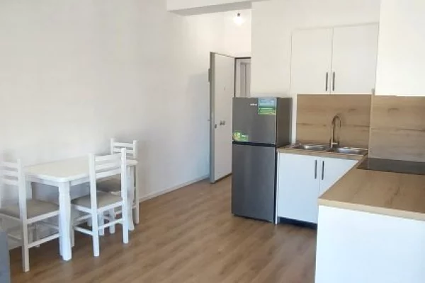 House for Rent 1+1 in Tirana - 43,000 Leke
