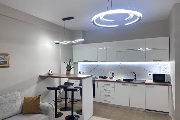 Shtepi me qera Apartament ne Tirane, 1+1, Mobilimi E mobiluar, Pagesa 69,000  Leke.