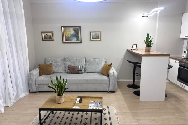 House for Rent 1+1 in Tirana - 69,000 Leke