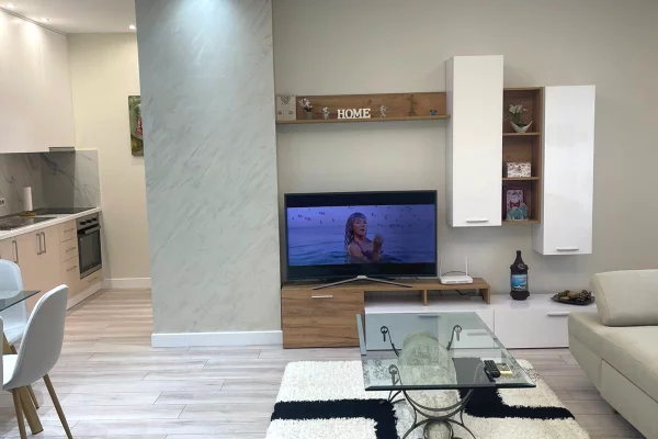 House for Rent 1+1 in Tirana - 1,000 Euro