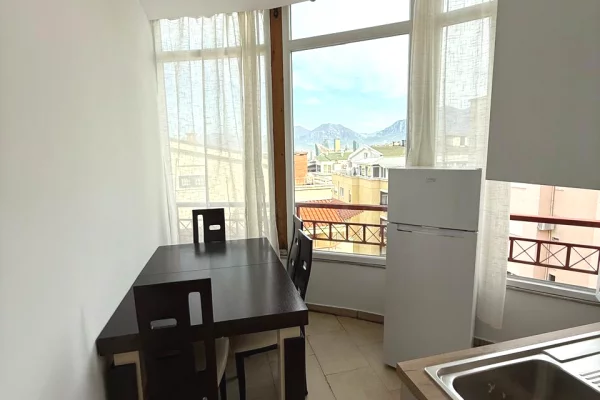 House for Rent 1+1 in Tirana - 55,000 Leke