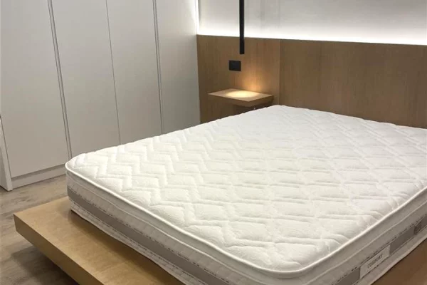 Shtepi me qera 1+1 ne Tirane - 50,000 Leke