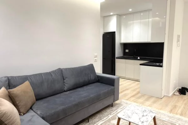 Shtepi me qera 1+1 ne Tirane - 55,000 Leke