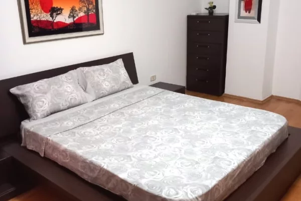 Shtepi me qera 1+1 ne Tirane - 600 Euro