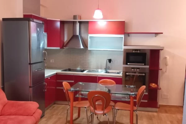 Shtepi me qera 1+1 ne Tirane - 600 Euro