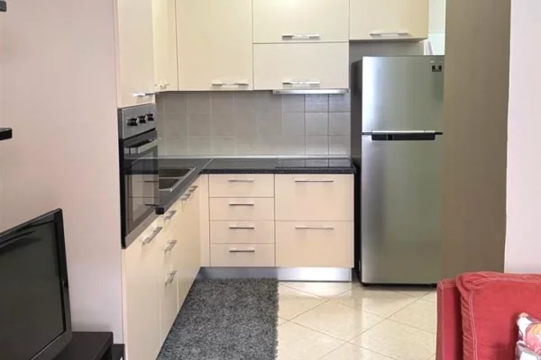 Shtepi me qera 1+1 ne Tirane - 38,000 Leke