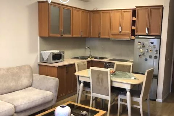 Casa in affitto 1+1 a Tirana - 37,000 Leke