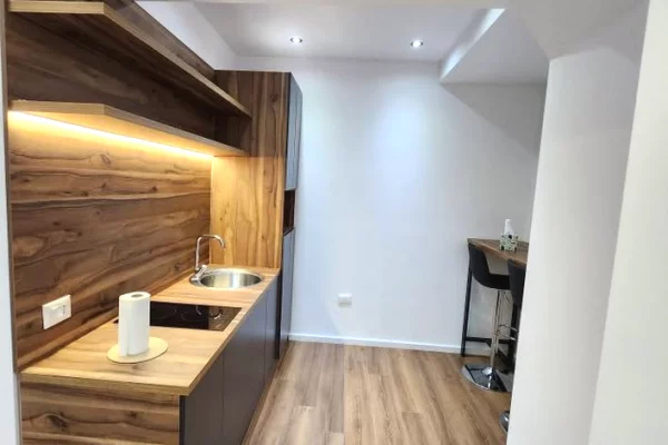 Ambient biznesi me qera 1+1 ne Tirane - 1,000 Euro