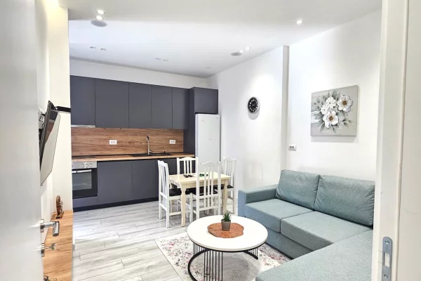 Shtepi me qera 2+1 ne Tirane - 40,000 Leke