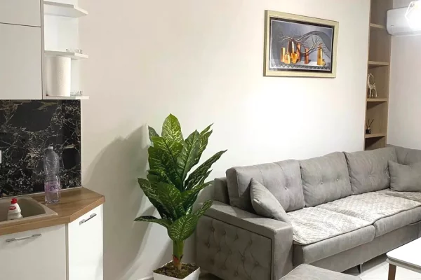 Shtepi me qera 2+1 ne Tirane - 50,000 Leke