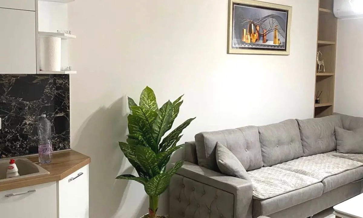 Shtepi me qera Apartament ne Tirane, 2+1, Mobilimi E mobiluar, Pagesa 50,000  Leke.