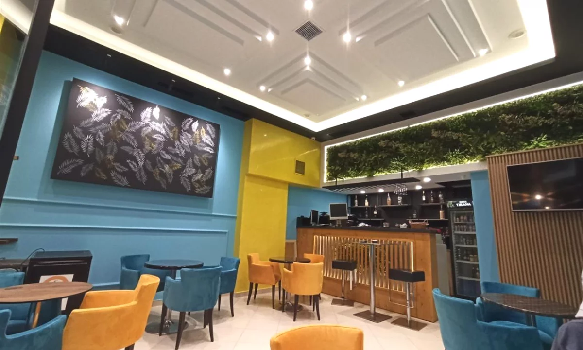 Ambient biznesi me qera 1+1 ne Tirane - 500 Euro