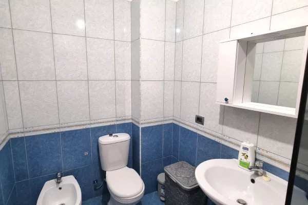 Shtepi me qera Apartament ne Tirane, 1+1, Mobilimi E mobiluar, Pagesa 38,000  Leke.