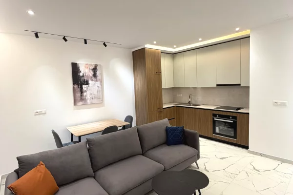 Shtepi me qera Apartament ne Tirane, 1+1, Mobilimi Pjeserisht e mobiluar, Pagesa 780  Euro.