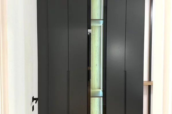 Apartment for rent in Tirana 1+1, Furnished