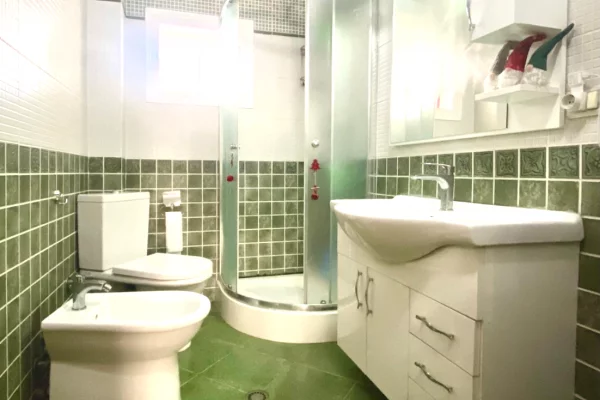 Shtepi ne shitje Apartament ne Tirane, 1+1, Mobilimi E mobiluar, Pagesa 92,000  Euro.