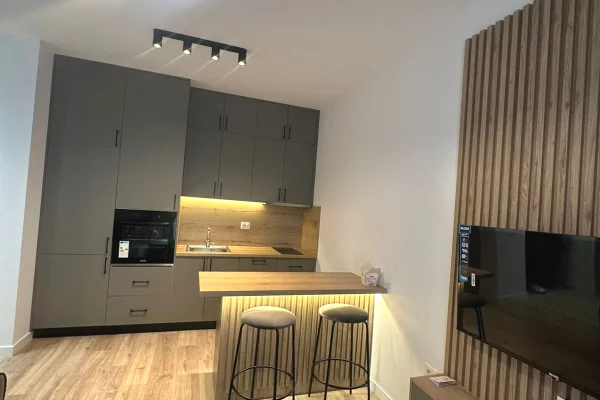 Shtepi me qera Apartament ne Tirane, 1+1, Mobilimi E mobiluar, Pagesa 400  Euro.