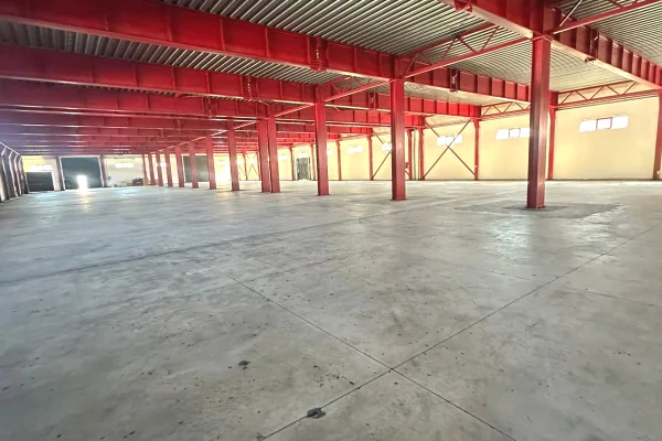 Business Property for Rent 4+1 in Tirana - 6,000 Euro