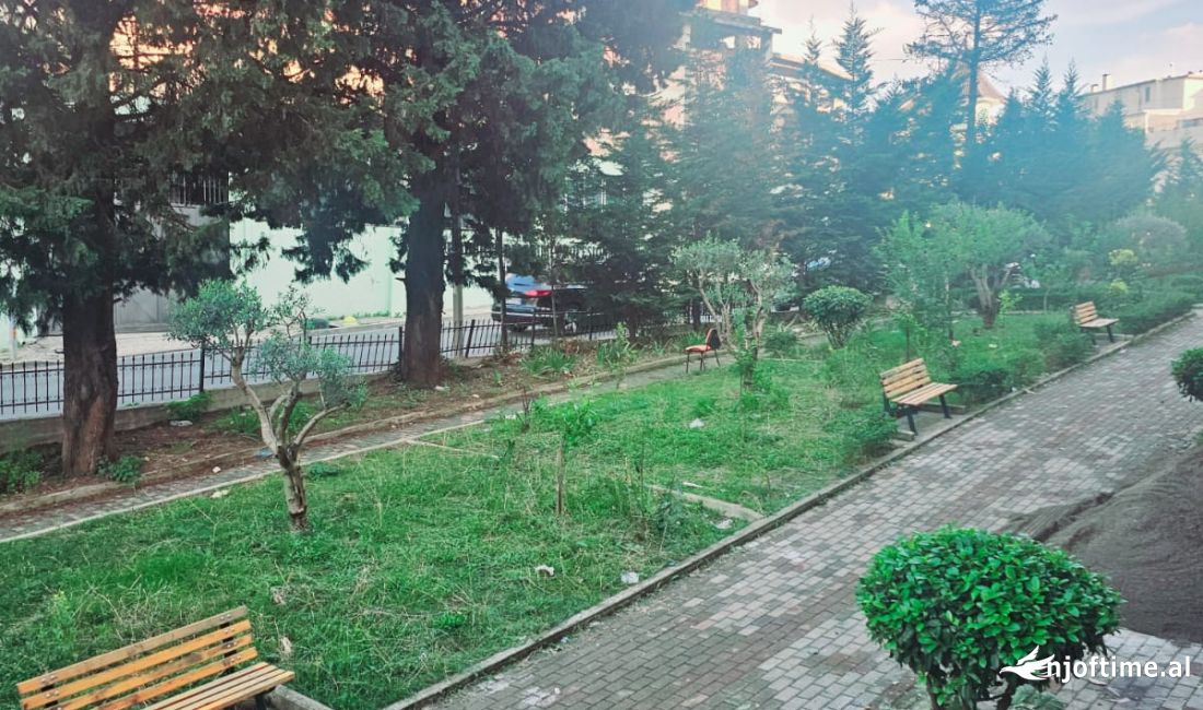 Foto 7