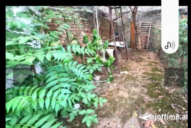 Shtepi me qera Apartament ne Tirane, 1+1, Mobilimi E mobiluar, Pagesa 250  Euro.