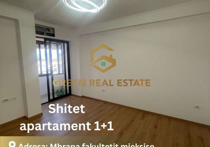 Shtepi ne shitje 1+1 ne Tirane - 90,000 Euro
