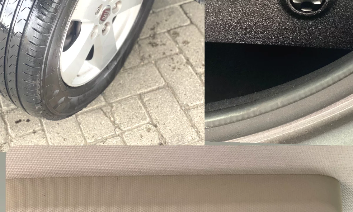 Foto 10