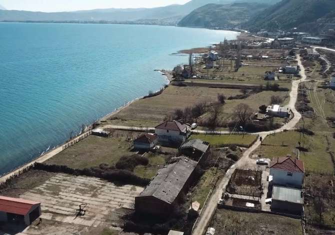 Truall ose Toke  ne Pogradec - 50,000 Euro