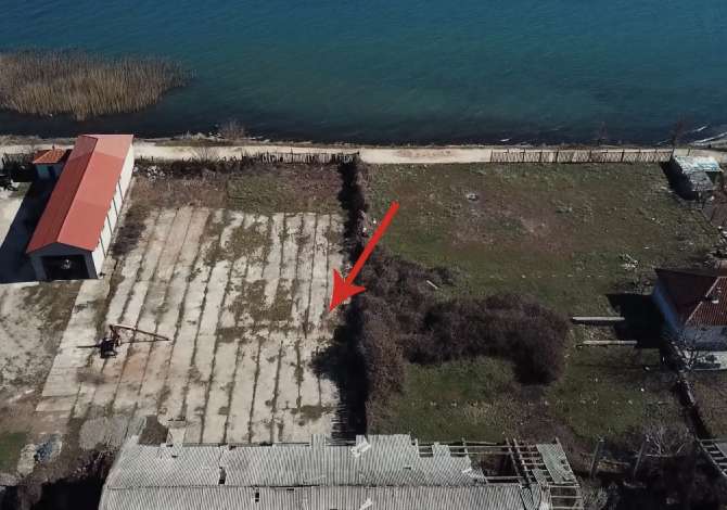 Truall ose Toke  ne Pogradec - 50,000 Euro