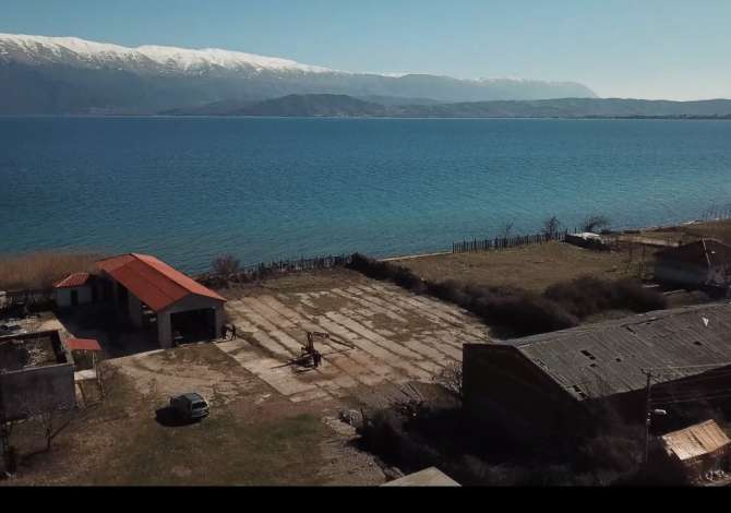 Jepet Toke me qera ne Pogradec afer liqenit