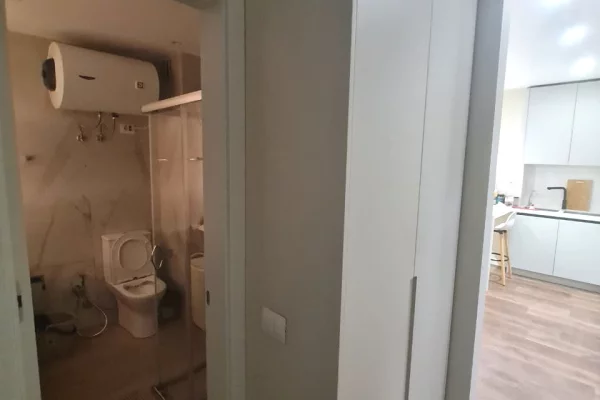 Shtepi me qera Apartament ne Tirane, 1+1, Mobilimi E mobiluar, Pagesa 450  Euro.