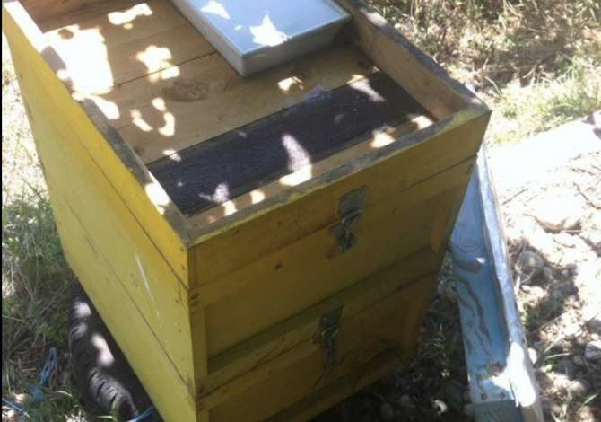 Marketplace for Business Brokers in Gjirokastra - 20,000 Leke