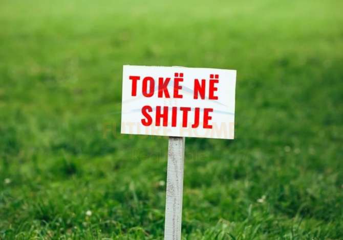 Truall ose Toke  ne Tirane - 250,000 Euro