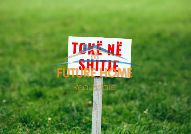 Truall ose Toke  ne Tirane - 224,000 Euro