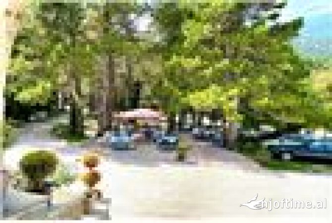 Ambient biznesi ne shitje 2+1 ne Vlore - 430,000 Euro