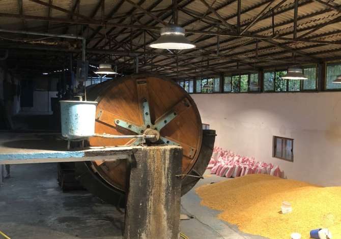 Ambient biznesi me qera 4+1 ne Tirane - 1,000 Euro