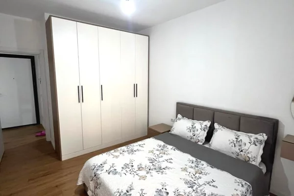 Apartment for rent in Tirana 1+1, Furnished