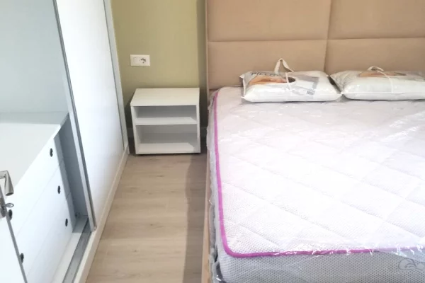 Apartment for rent in Tirana 1+1, Furnished