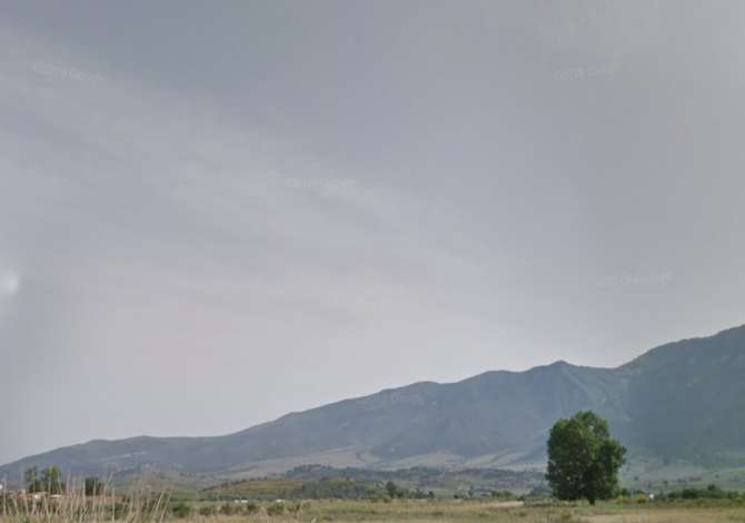 Truall ose Toke  ne Vlore - 600,000 Euro