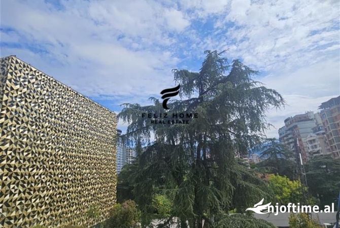 Ambient biznesi me qera 3+1 ne Tirane - 4,000 Euro