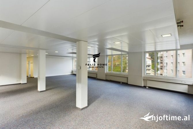 Ambient biznesi me qera 3+1 ne Tirane - 2,000 Euro