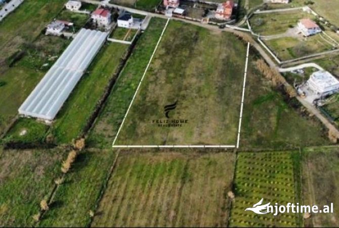 Truall ose Toke ne Tirane - 375,000 Euro